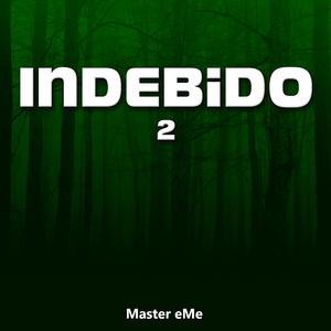 Indebido 2