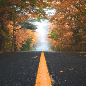 心路(D0PELINg's Part)