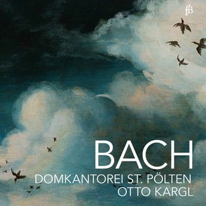 Mass in G Minor, BWV 235: V. Qui tollis (Live)