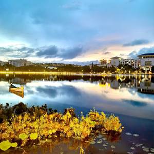 爱上你分明是一种痛苦