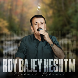Roy Bajey Heshtm