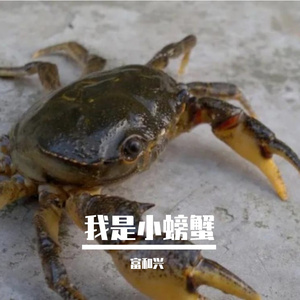 我是小螃蟹