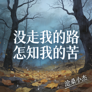 没走我的路怎知我的苦