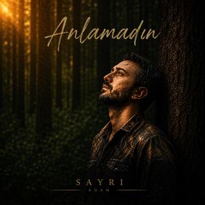Anlamadın