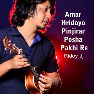 Amar Hridoyo Pinjirar Posha Pakhi Re