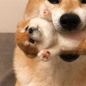 记忆的森林