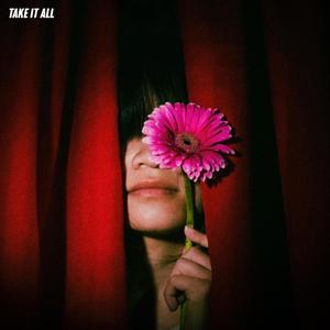 TAKE IT ALL