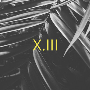 Tapes + Squids (Havantepe Remix)