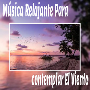 Estiramiento y Respiración