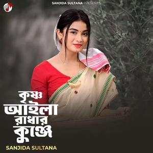 কৃষ্ণ আইলা রাধার কুঞ্জে (Lo-Fi Version)