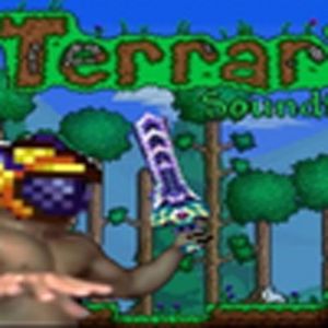 泰拉瑞亚（哲学）