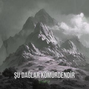 Şu Dağlar Kömürdendir