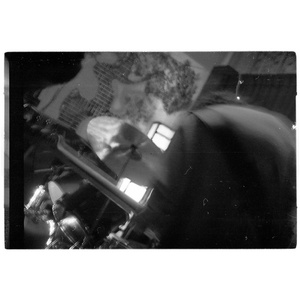 llueven gatitos en tu habitación (Live)