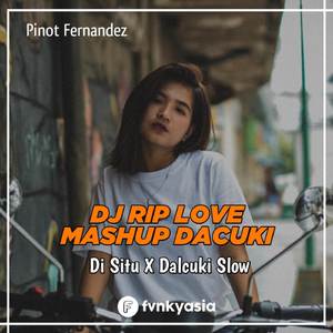 DJ RIP LOVE MASHUP