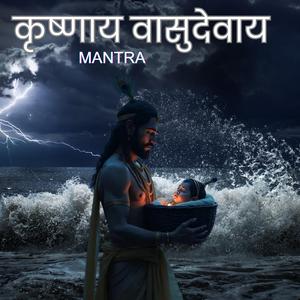 कृष्णाय वासुदेवाय Krishnaya Vasudevaya Krishna Mantra jaap 108 Times.