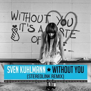 Without You (Stereolink Radio Remix)