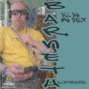 The Mighty One Four Nine DS