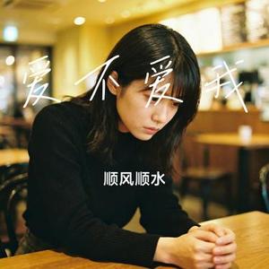 爱不爱我 (Cover 图灵)