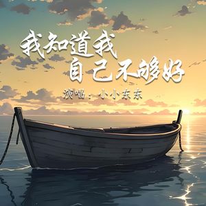 我知道我自己不够好
