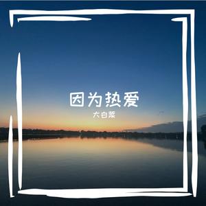 向光
