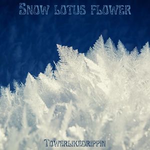 雪莲花（prod.by JestonBeatz）