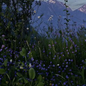 【FREE BEAT】暴雨前的天空一片晦暗