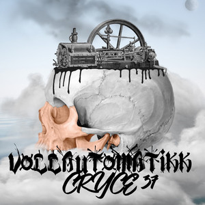 Vollautomatikk
