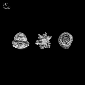 Holocene (Original Mix)