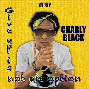 Give Up Is Not An Option