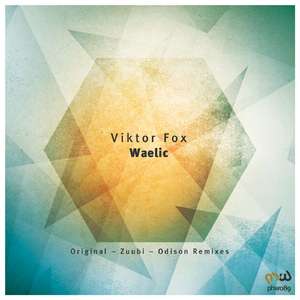Waelic (Odison Remix)