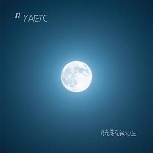 月光落在我心上