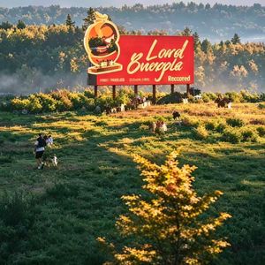 빌려온 고양이 (Sped up)