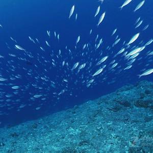 烫（Prod By Ljx Ghost）