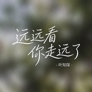 远远看你走远了