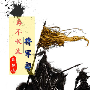 再不做这将军郎