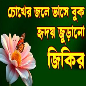 চোখের জলে ভাসে বুক হৃদয় জুড়ানো জিকির আশা করি ভালো লাগবে ইনশাআল্লাহ