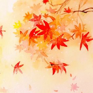 答案（翻自 杨坤/郭采洁）