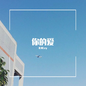 你的爱
