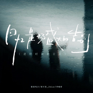 回忆是场盛大的告别 (逆转时间的公式)