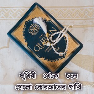 পৃথিবী থেকে চলে গেলো কোরআনের পাখি