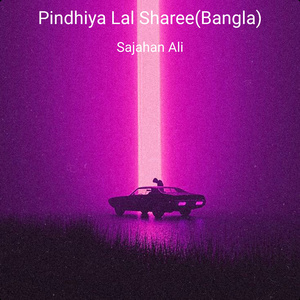 Pindhiya Lal Sharee (Bangla)