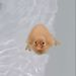 Justine Skye (Speed up)