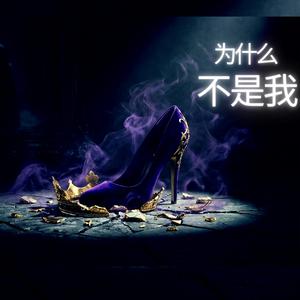 为什么不是我?(Why not Me?)