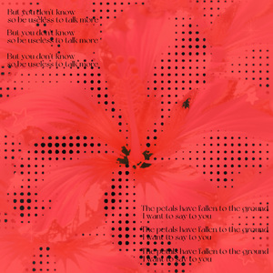 Asiatic apple(Prod.Keedad)