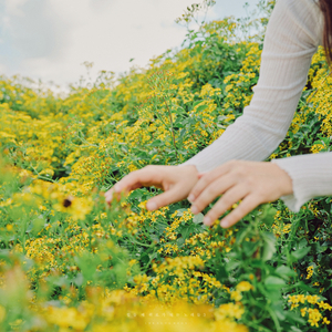 문득 우울한 날에 들어요