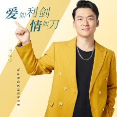 爱如利剑情如刀 (DJ沈念版)