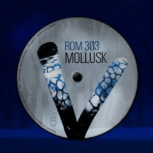 Mollusk (Original Mix)