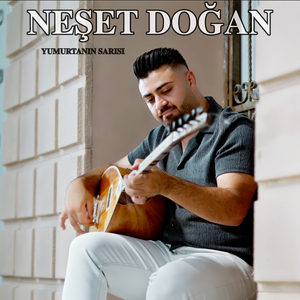 Yumurtanın Sarısı