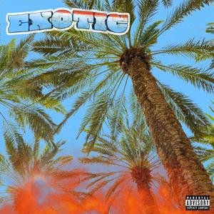 EXOTIC