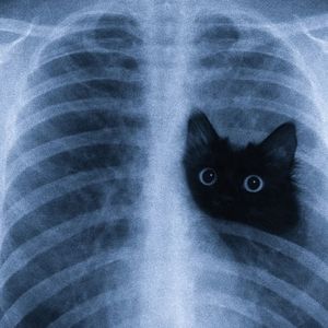 [EDM]"予你独钟"Lazy x 网感 Type Beat